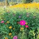 논공(대구) 이미지