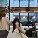 광교미용실ㅣ허쉬 전문 이안수석디자이너 레이어드컷 후기 "행복한 살롱"