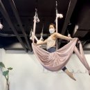 요가디야 이미지