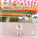 CU송도청량로점 | 인천 애견동반 가볼만한곳 | 송도 흥륜사 절 사찰 산책 후기