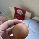 봄양계장 | 양계장 청년 유정란 자연방사 HACCP 20구ㅣ아기도 먹는 유정란 난각1번 배송후기