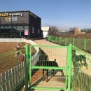 김제호두마루애견카페샵 이미지