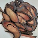 제일탑한의원 이미지