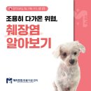 다가온 동물병원 이미지