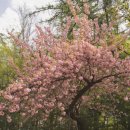 세븐일레븐 개화중앙점 이미지