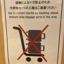 삿포로 공항 푸드코트 맛집 위치 신치토세공항 식당 카레 규동 추천