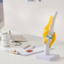 연세정석정형외과의원 이미지