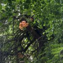 강산세차장 이미지