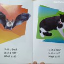 하이프리퀀시 이미지