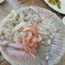 괭이바다 이미지