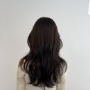 수현머리이야기