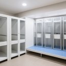 부산강아지분양 마이뭉 24시 | 부산강아지분양 마이뭉 24시 부산애견샵 생각보다 중요했던 관리 흐름 정리