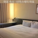 신라스테이 마포 1박 솔직 후기 공덕역 근처 가성비 호텔 추천 주차