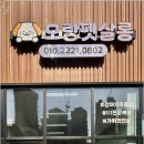 펫살롱 이미지