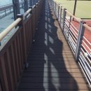 론볼경기장 이미지