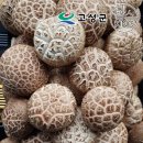 웅이농장 이미지