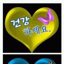 바람난강아지 이미지