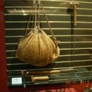 약령시한의약박물관 이미지