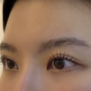 회기속눈썹 모도리터치 청량리점