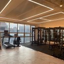 더 문 피티 필라테스 이미지