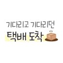 피리부는냥이 이미지