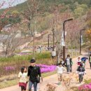 삼선산 수목원 이미지