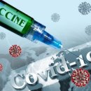 한빛광택전문점 이미지