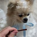 멍뭉다과 이미지