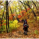 대전 정다운산악회7회차 산행(봉화 청량산)10/20 이미지
