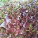 이종섭의 한우농장 이미지