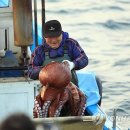 대진출장소 이미지