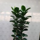 태선산업(주) 이미지