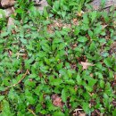 새싹마을마당 이미지