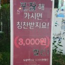 삶 오로지 다 이미지