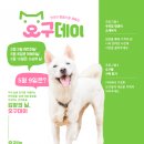 오구오구 이미지
