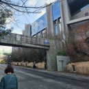 서울 스케이트 | 반얀트리 오아시스 아이스링크 후기 (빙질/아웃도어 키친)