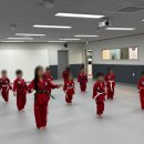 용인대파란태권도 이미지