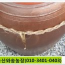 용골농장 이미지