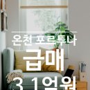 포르투나공인중개사사무소 이미지