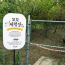 꼬꼬체험장 이미지