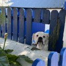 아일랜드민박 이미지