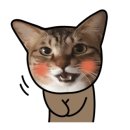 용아구해물찜 이미지