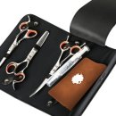 강아지 멋내기 이미지