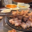 기흥역 맛집 제줏간 기흥구청, 맛있어서 또찾은 삼겹살 회식 구워주는 고기집