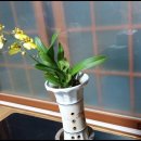 김영란농장 이미지