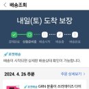 grn 분홍이 쓰리데이즈 내돈내산 후기 / 초록이와 분홍이차이점