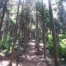 고성(갈모봉 편벽숲 산행)사천 다래와인동굴-문수암-보현암-하모샤브샤브) 이미지