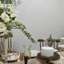 Botem(보탬) 이미지