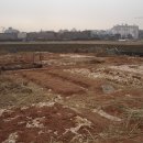 팔팔농장 이미지