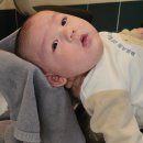 바미살롱 이미지